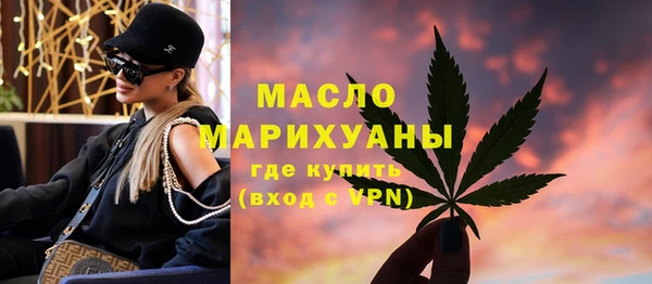 дмт Каменка