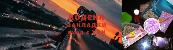дмт Каменка
