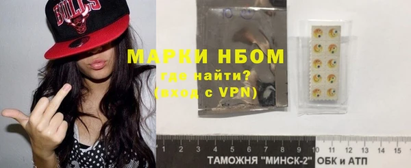 дмт Каменка