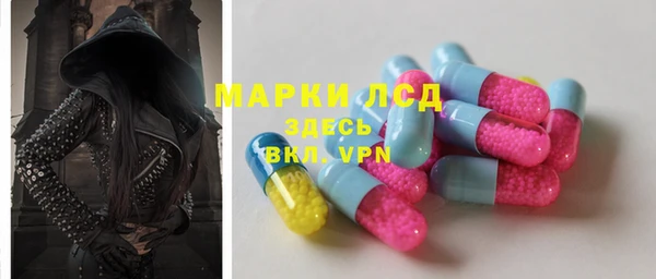 дмт Каменка