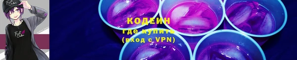 дмт Каменка