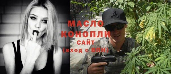 дмт Каменка