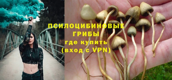 дмт Каменка