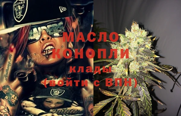дмт Каменка