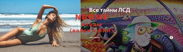 дмт Каменка