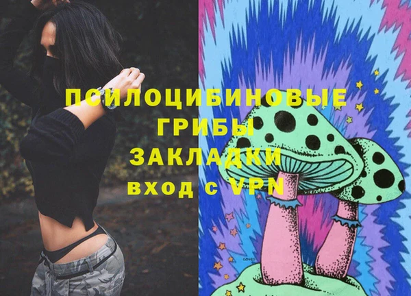 дмт Каменка